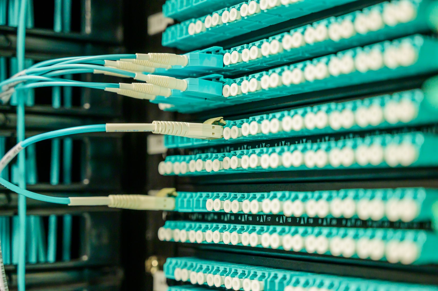 Fibre patch panel with structured cabling